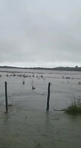 22K views · 494 reactions | #Hoy | Desborde de algunos causes hidricos en la zona Caapucú-Quyquyhó, departamento de Paraguarí. ️⚠️ Video gentileza de nuestros colaboradores | Aficionado a la Meteorología Paraguay | Facebook