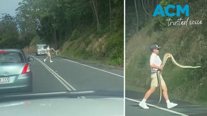 Aussie driver praised after removing huge python from road