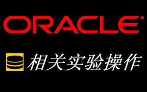 【提前更-Oracle系列】Oracle大型数据库实验合集