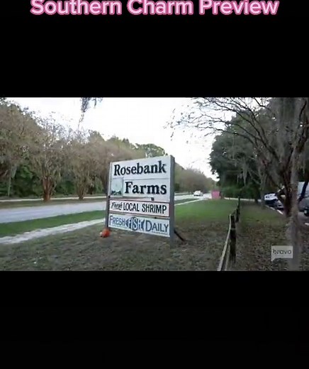 Bravo Stone Manor on TikTok