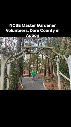 N.C. Cooperative Extension, Dare County Baum Center Town of Kill Devil Hills NC State Extension NC State Extension Master Gardener Volunteers, Dare County #volunteer #service #community #teamwork #collaboration | NC State Extension Master Gardener Volunteers, Dare County