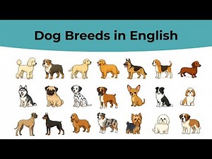 Dog Breeds Vocabulary in English | Learning with Pictures!