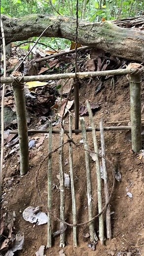 BUSHCRAFT SKILLS 🔥: Crafting a Survival Trap with Handmade Palm Fiber Rope #primitiveskills #viral