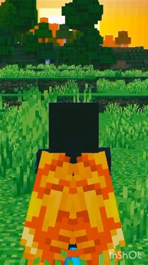 How I Fly Elytra #minecraft #gaming