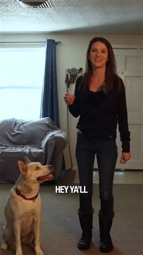 My Pawfect Friend | Threshold and door boundaries are essential for safety and structure. Ocean is demonstrating that doors don’t mean “run.” They mean wait... | Instagram