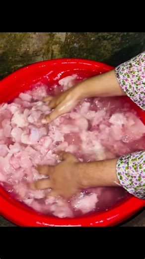 Winter Family Picnic Ideas for Memorable Moments