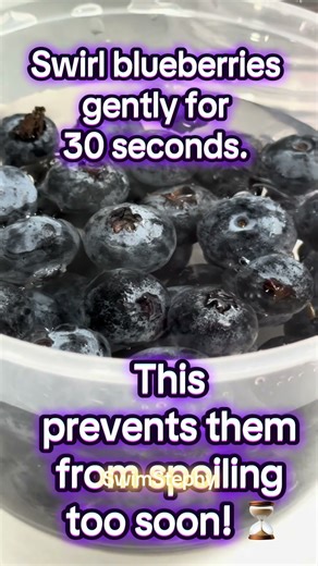 How to store blueberries longer and keep them fresher? #blueberry #howto #healthyeating #lifehacks