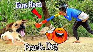 57K views · 3.3K reactions | Try Not To Laugh - Fans Horn and Tiger Fake Prank vs Dogs Funny Funny prank | SRTV Club | Facebook