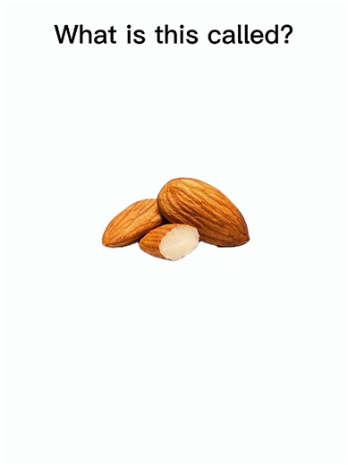 Learn Various Nut Names in English