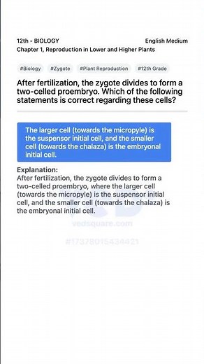 Zygote Division in Plants Explained 12th Biology