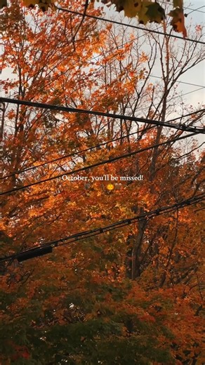 goodbye for now october!!! you will be missed dearly 😭🍂🎃🪾 cre: chasiteyy #goodbyeoctober #octobermood #halloweenvibes #fallseason #spookyseason | Hocus Pocus Halloween