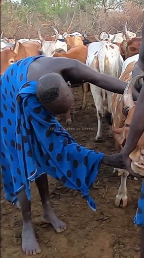 Suri tribe blood drinking #africantribe #documentary #ethiopia #surma #short