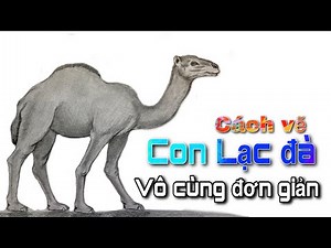 Cách vẽ con lạc đà vô cùng đơn giản