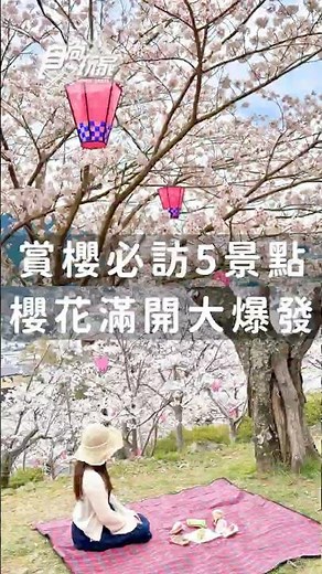 櫻花滿開大爆發🌸日本九州賞櫻必訪5景點！