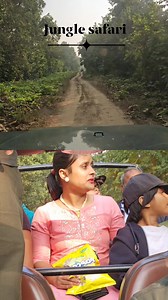 828K views · 1.5K reactions | Jungle safari | Jim Corbett National Park #facebookviral #fall #topper #fall2024 #wildlifephotography #jimcorbett #wildlife #wildanimals #wildlifeplanet #safari Saket Ahuja Gungun Gupta | Jim Corbett Wildlife & Nature View | Facebook