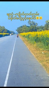 #yellowflowers #Pyapon #kyaiklat #fbreelsvideo #decembervibes | STAR garden & restaurant