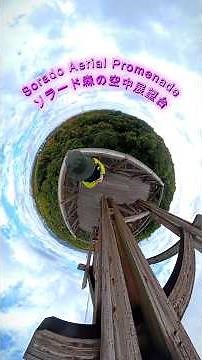 Sorado Aerial Promenade | EXPO'70 Commemorative Park | 万博記念公園ソラード空中展望台 | #万博記念公園 JAPAN 🇯🇵