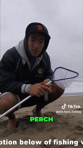 Easy Techniques for Catching Sand Crabs