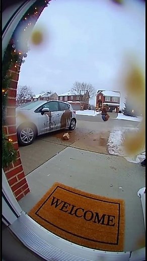 Porch Pirate Gets TRAPPED in Poop Explosion Inside Her Own Car!