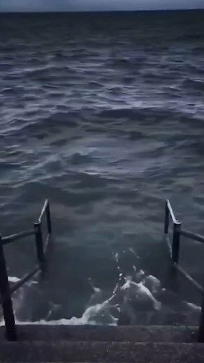 Lil Pup | cs2 crafts 💀 #ohnepixel #cs2 #cs2stickercraft #cs2memes #fyp #4u | Instagram