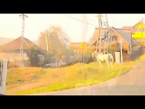 JOHN McDERMOTT LOCH LOMOND By Yon Bonnie Banks