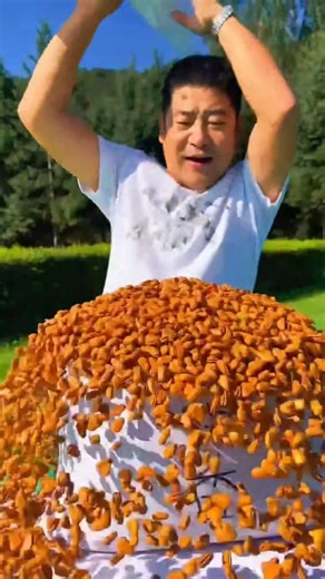 Surprised by These Open-Shell Pine Nuts! 🌰 #pistachios #pinenuts #dryfruits #shorts #amazing