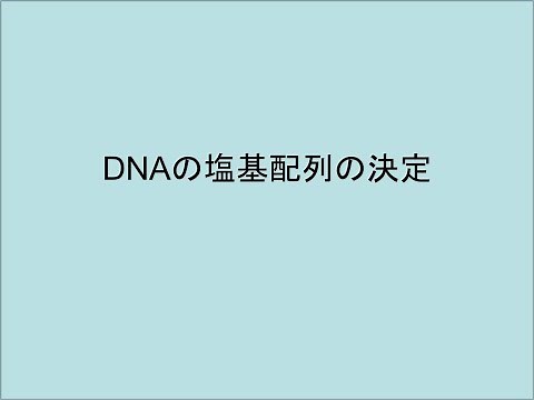 DNAの塩基配列の決定２０２０