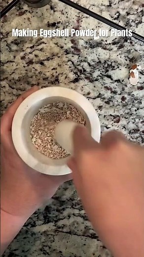 Making Eggshell powder for plants using a mortar and pestle #gardening #plants #shorts