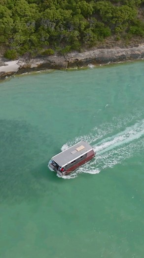 🌿✨ Welcome to the wilderness of #Walpole. ✨🌿 Discover the hidden treasures of this pristine landscape, nestled in the heart of #AustraliasSouthWest. Embark on an epic trip along the #WalpoleNornalupInlet with WOW Wilderness EcoCruises to explore the region's unique waterways, 🛥️💚💙 including walking onto one of the most secluded beaches on the southern ocean! Hit the nearby trails after to wander along the historic Bibbulman track, or explore the heights of the tingle tree canopy from the @v