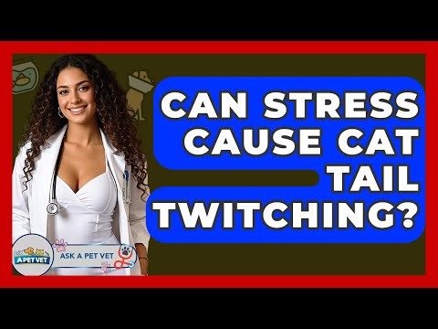 Can Stress Cause Cat Tail Twitching? - Ask A Pet Vet