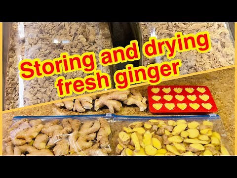 How to dry ginger at home / how to store ginger to last longer / how to dehydrate ginger