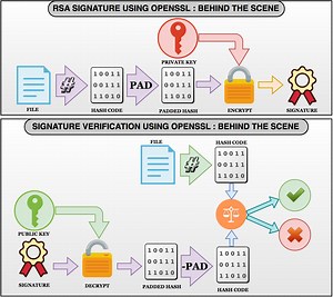 Rsa Key Generation Function Sample