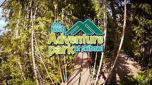 6.2K views · 99 reactions | Looking to add some fun to your summer?...