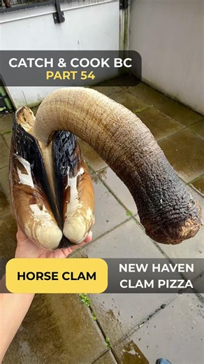 🐴HORSE CLAM PIZZA🍕 #catchandcook #clam #pizza #italianfood