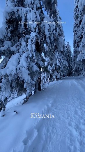 3.6K views · 70 reactions | Ever felt the magic of winter’s embrace...