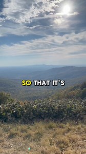 Looking for a Perfect Date Idea with Someone Who Loves Cars? Give...