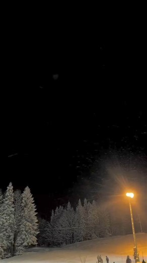 6.2K views · 202 reactions | Huge Firework Shells!勞 #fireworkshell #fireworks #firework #feuerwerk #fuegosartificiales #pyro | Firework Show | Facebook