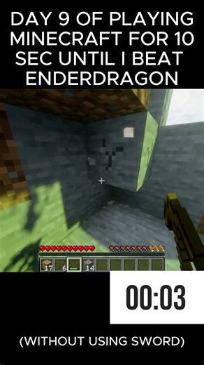 DAY 9 OF PLAYING MINECRAFT FOR 10 SEC UNTIL I BEAT ENDERDRAGON (WITHOUT USING SWORD).