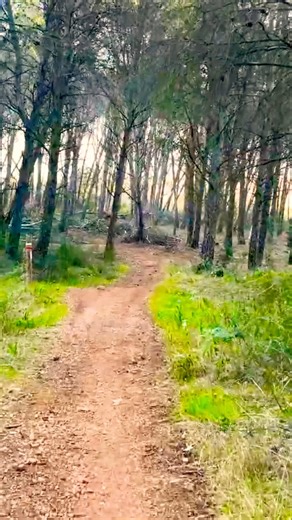 Treadmill Run POV 🔥 Virtual Running 4K | Fuente de Piedra Trail