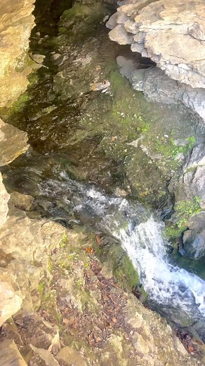 Eden Falls Cave and Waterfall in the back room of the cave. This video takes you from the mouth of Eden Falls Cave back over 200 feet to the falls room. There you will see two 30 foot tall falls coming out of the ceiling of this amazing cave. You might get a little wet and muddy and you need your own lighting but it’s worth the trip! | Mike Kelley