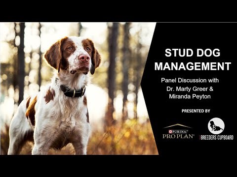 Stud Dog Management with Dr. Greer and Breeders Cupboard – Presented by Pro Plan