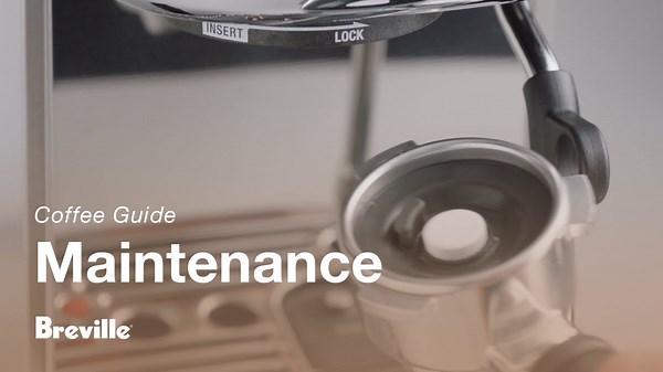 Tutorials - How to perform a cleaning cycle | the Bambino® Plus | Breville