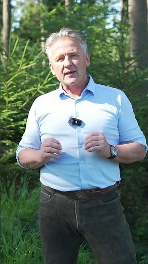 🌲 Recognizing bark beetles: How forest owners can detect an infestation early