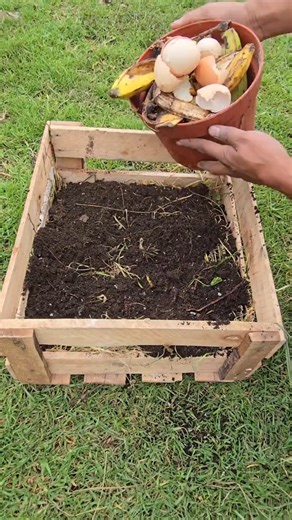 1.5K views | Turn your kitchen scraps into powerful compost with this easy DIY mini composter!  Perfect for small spaces, this method uses simple ingredients like soil, dry leaves, molasses, and gypsum to create nutrient-rich compost for your plants. Say goodbye to food waste and hello to healthier soil! | Let’s Gardening | Facebook