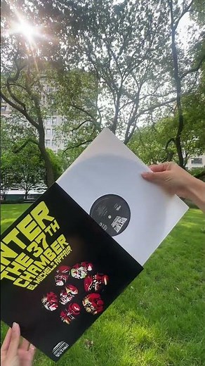 El Michels Affair - Enter the 37th Chamber (LP)