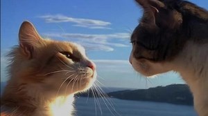 #fyp #foryou #tenlyrcs #lyrics