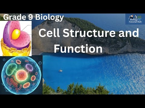 Cell Structure and Function (Grade 9 Biology)