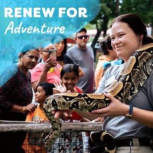 Keep your amazing benefits, like FREE admission all year long — renew now! | Dallas Zoo | Facebook