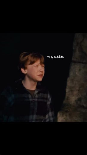 Funny Moments of Harry Potter's Ron Weasley