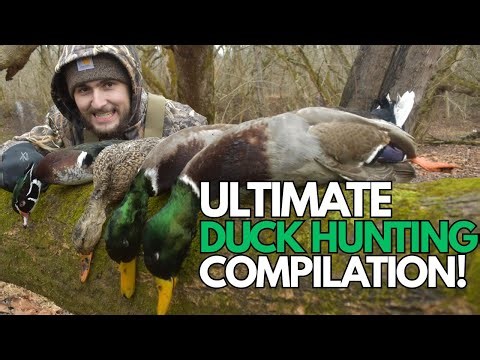 ULTIMATE DUCK HUNTING COMPILATION! | PA Duck Hunting 2025 - 2026